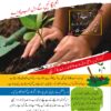 Cambridge O Level Urdu (Second Language) Syllabus 3248 Paper-1